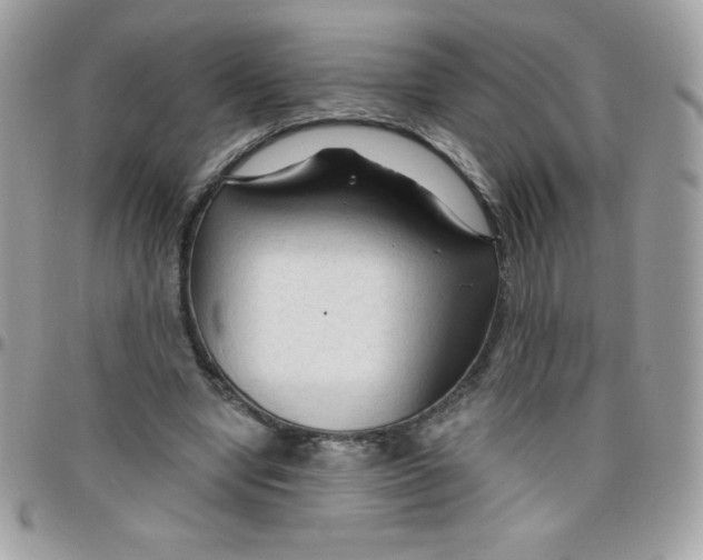 X0000097750442200803211655