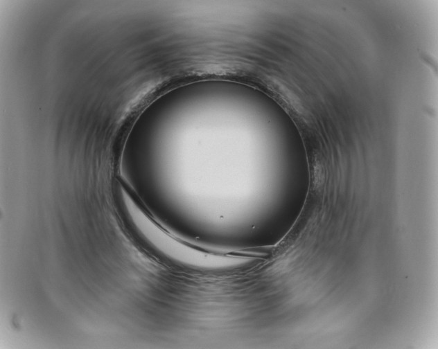 X0000097750444200803211655