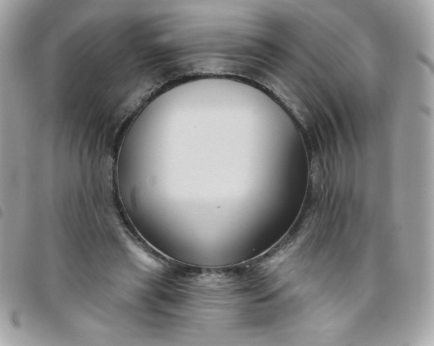 X0000097750445200803211655