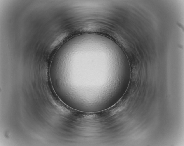 X0000097750446200803211655