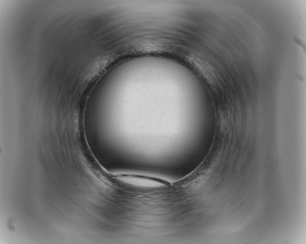 X0000097750447200803211655