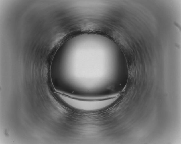 X0000097750448200803211655