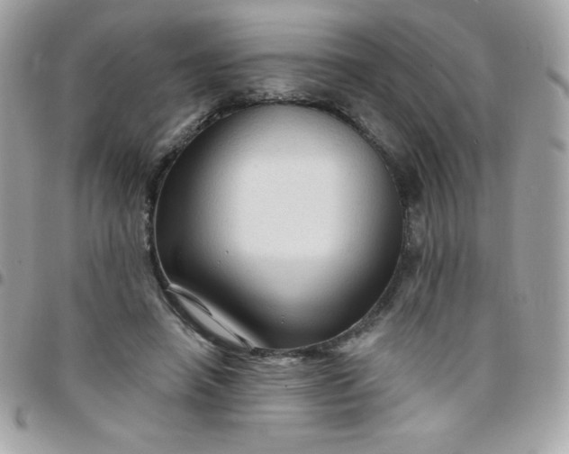 X0000097750450200803211655