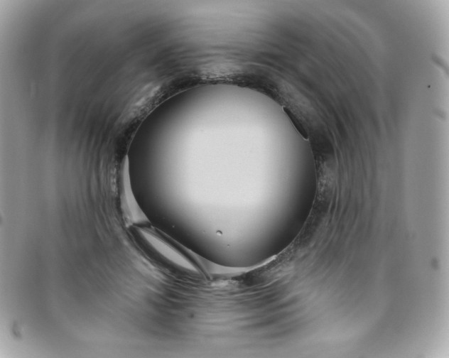 X0000097750452200803211655