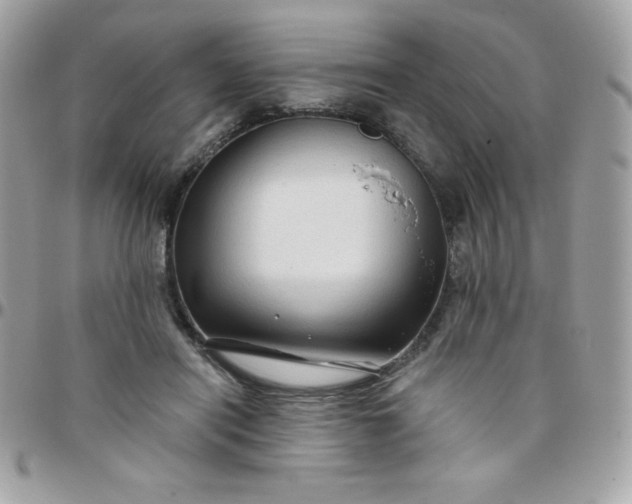 X0000097750454200803211655