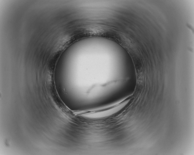 X0000097750456200803211655