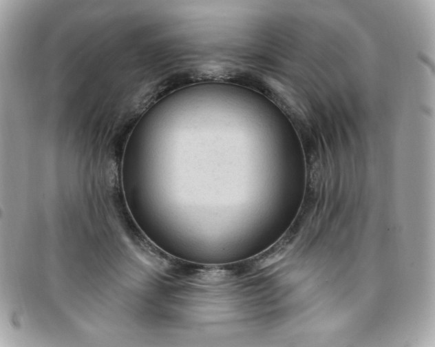 X0000097750459200803211655