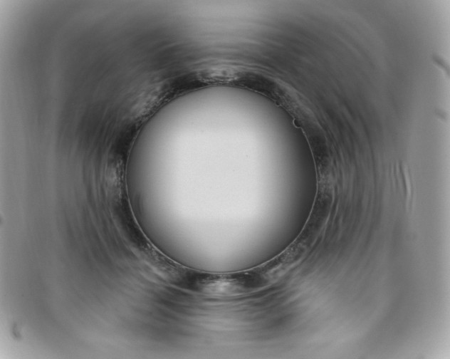 X0000097750460200803211655