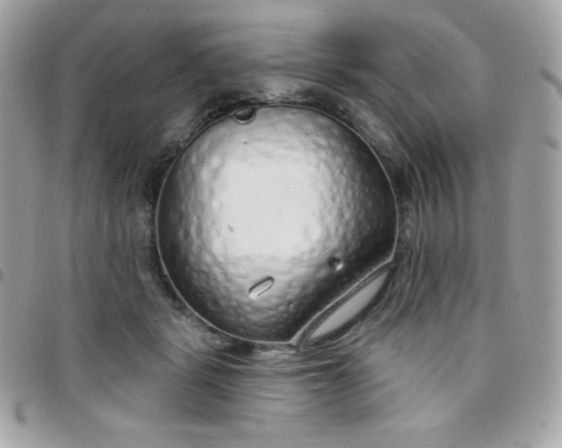 X0000097750461200803211655