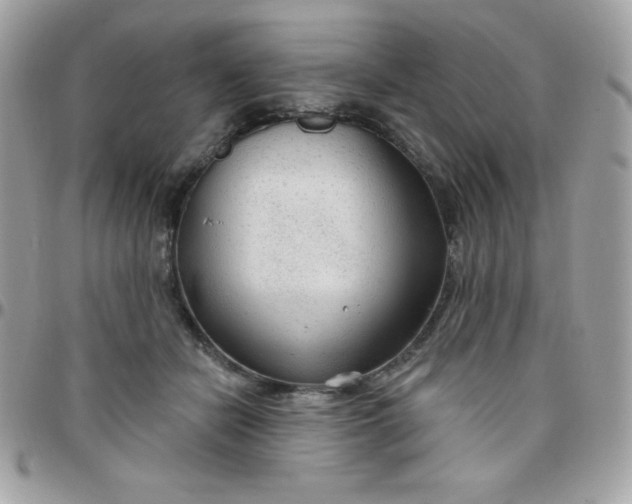 X0000097750462200803211655