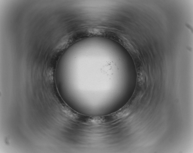 X0000097750466200803211655