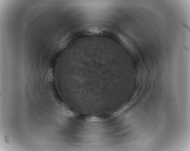 X0000097750467200803211655