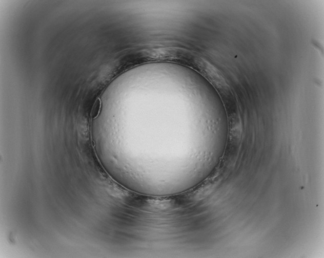 X0000097750469200803211655