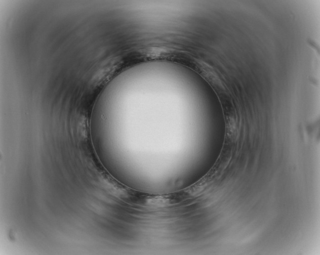 X0000097750470200803211655