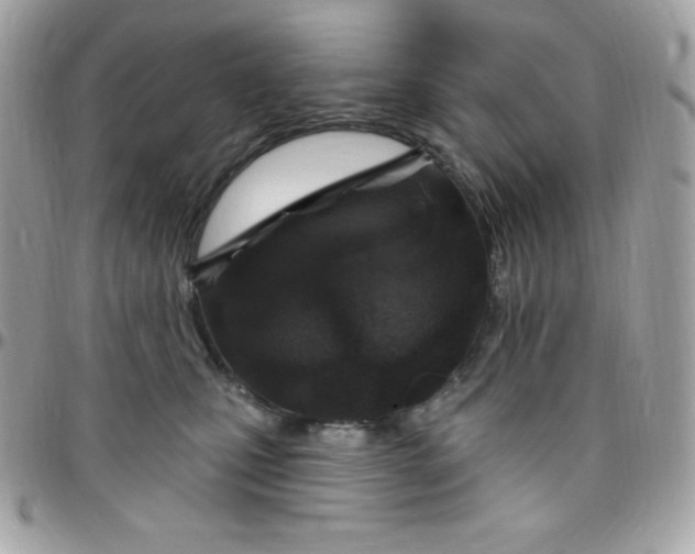 X0000097750471200803211655