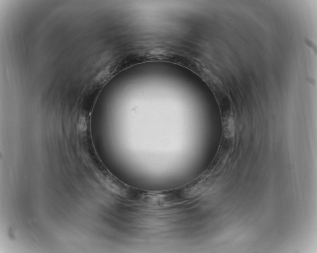 X0000097750472200803211655