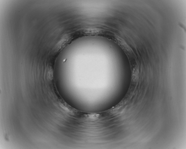 X0000097750474200803211655