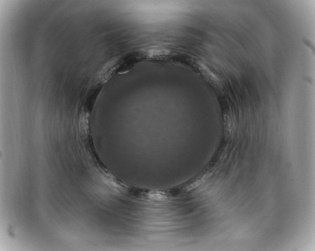 X0000097750475200803211655