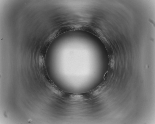 X0000097750476200803211655