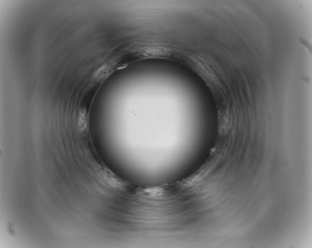 X0000097750478200803211656