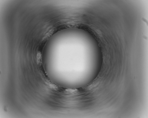 X0000097750480200803211656