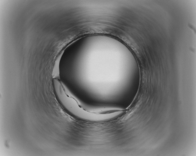 X0000097750481200803211655