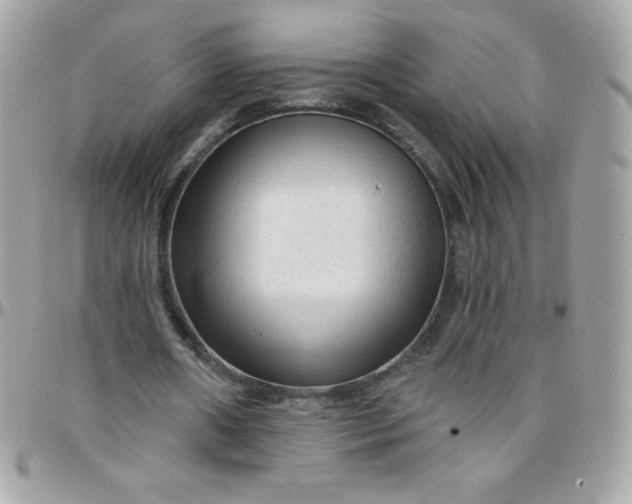 X0000097750482200803211655