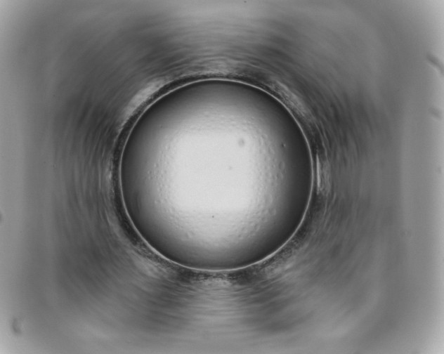 X0000097750483200803211655