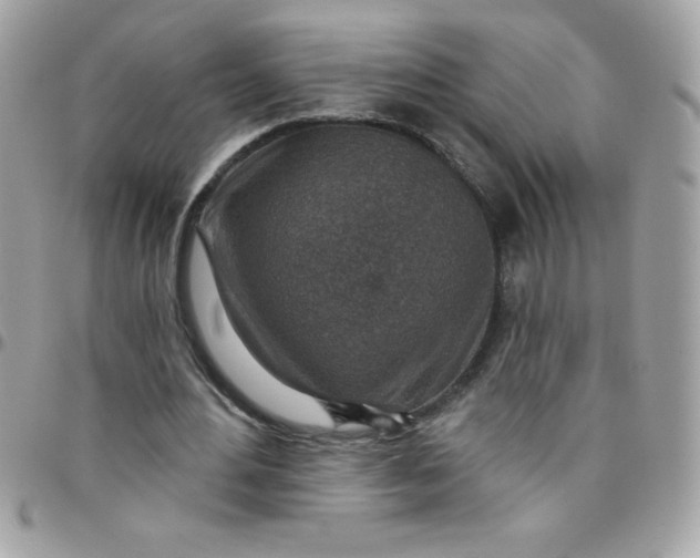 X0000097750484200803211655