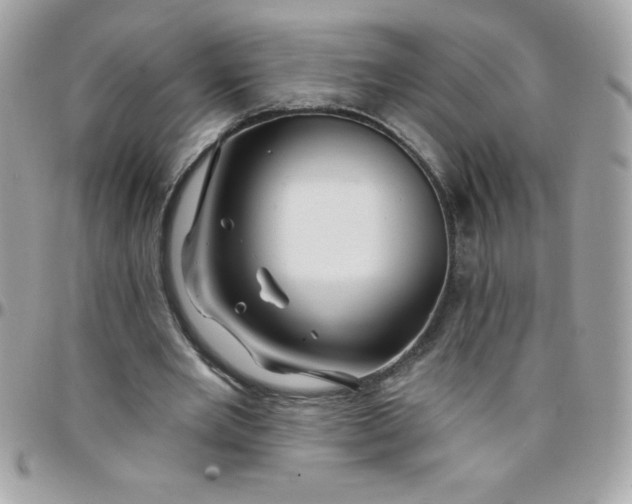 X0000097750485200803211655