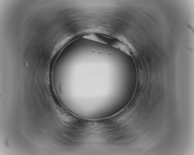 X0000097750486200803211655