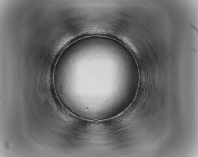 X0000097750487200803211655