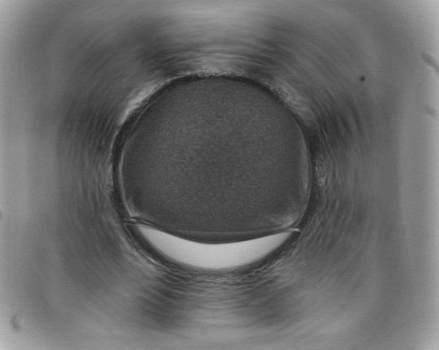 X0000097750488200803211655