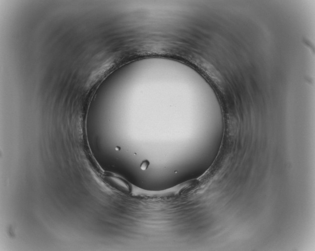 X0000097750489200803211655