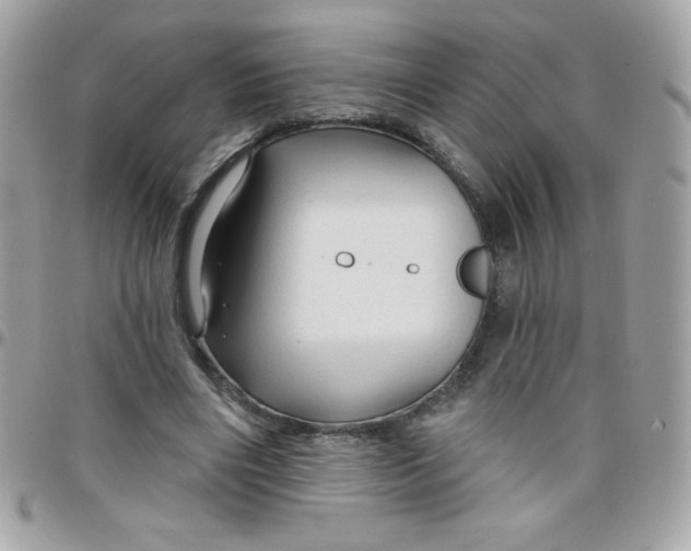 X0000097750490200803211655