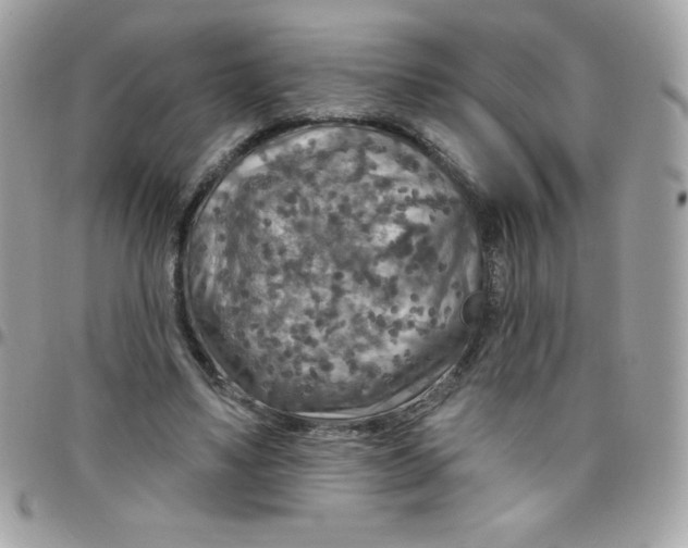 X0000097750491200803211655