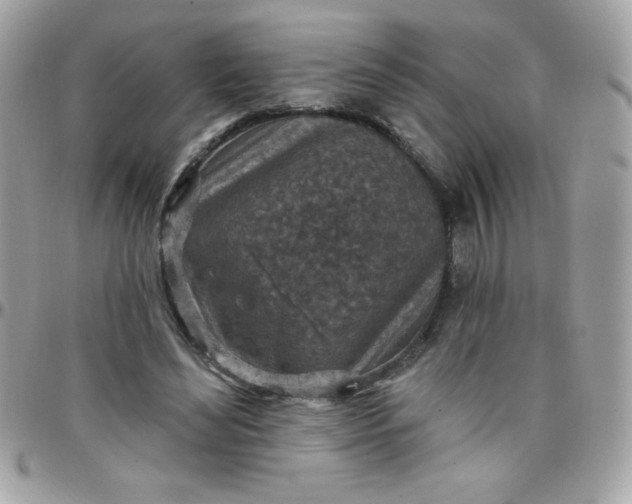 X0000097750492200803211655