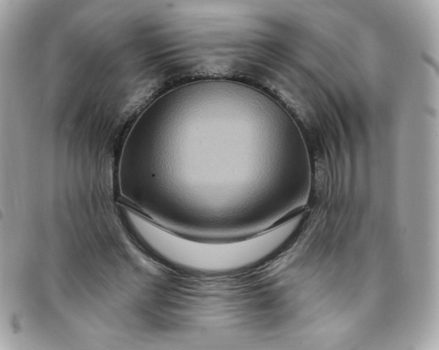 X0000097750493200803211655