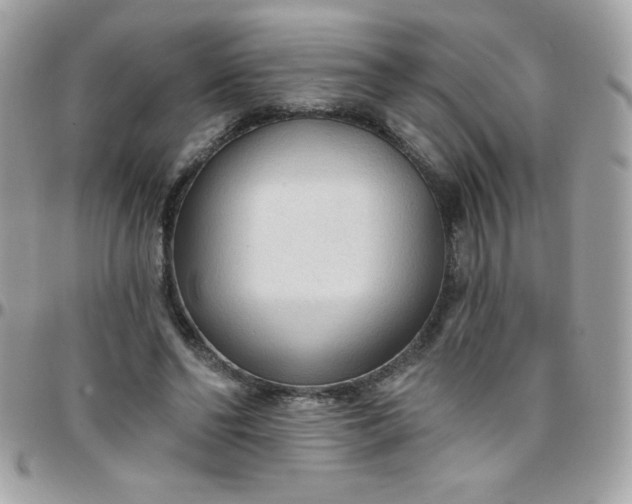 X0000097750494200803211655