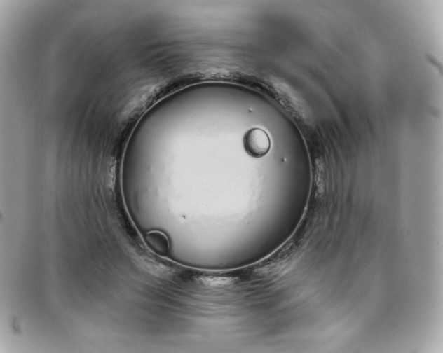 X0000097750495200803211655