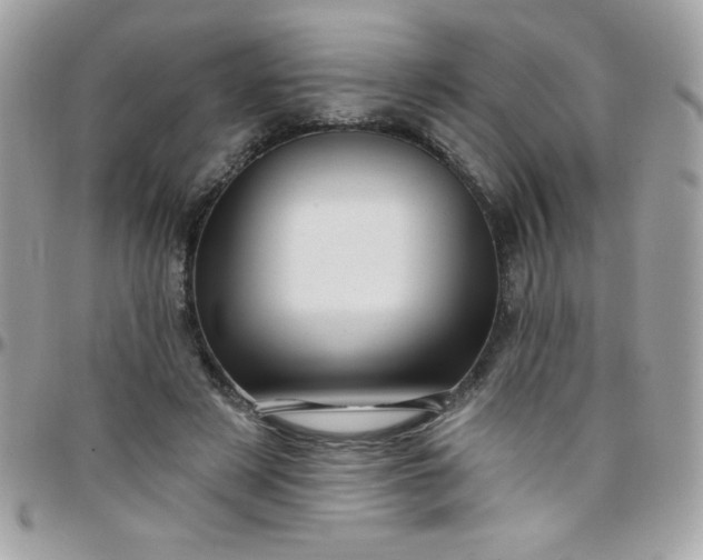 X0000097750497200803211655