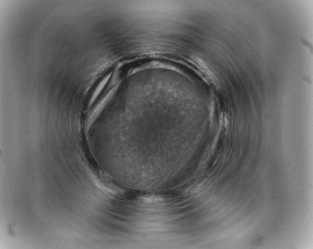 X0000097750500200803211655