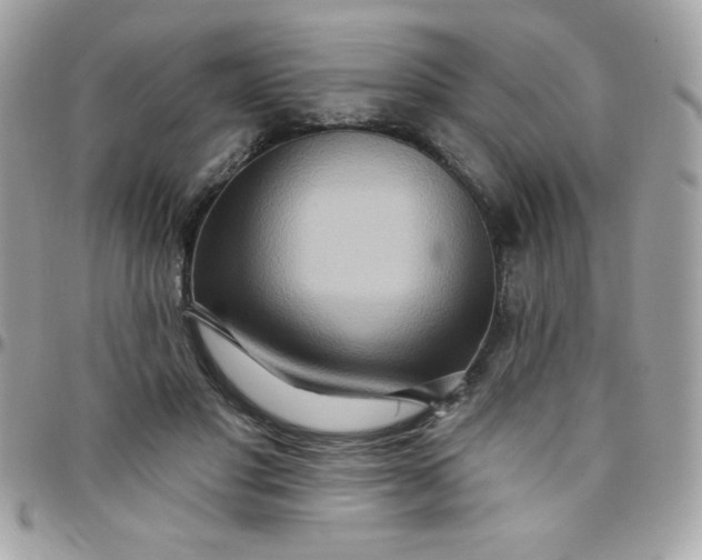 X0000097750501200803211655