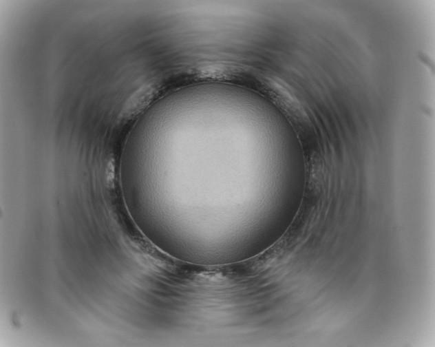 X0000097750502200803211655