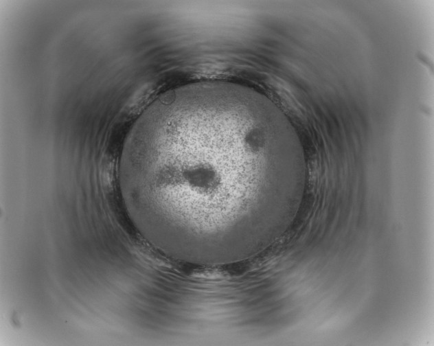 X0000097750503200803211655