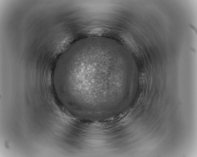 X0000097750504200803211655