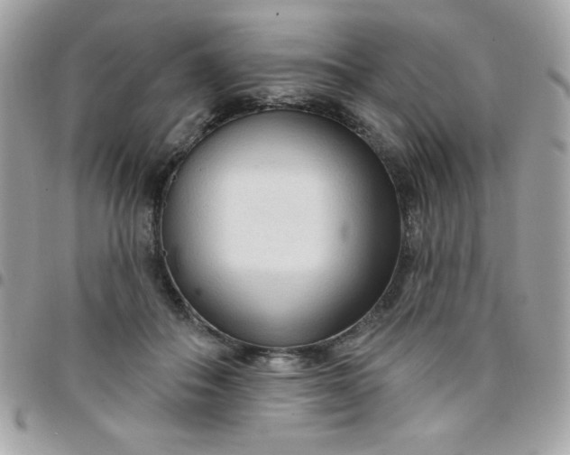 X0000097750506200803211655