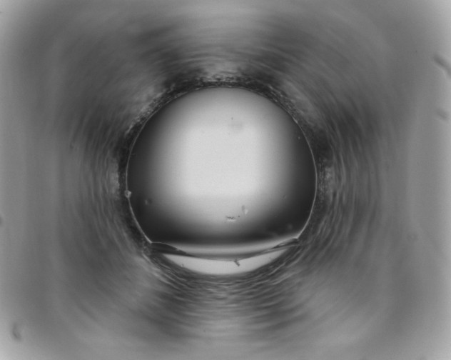 X0000097750508200803211655