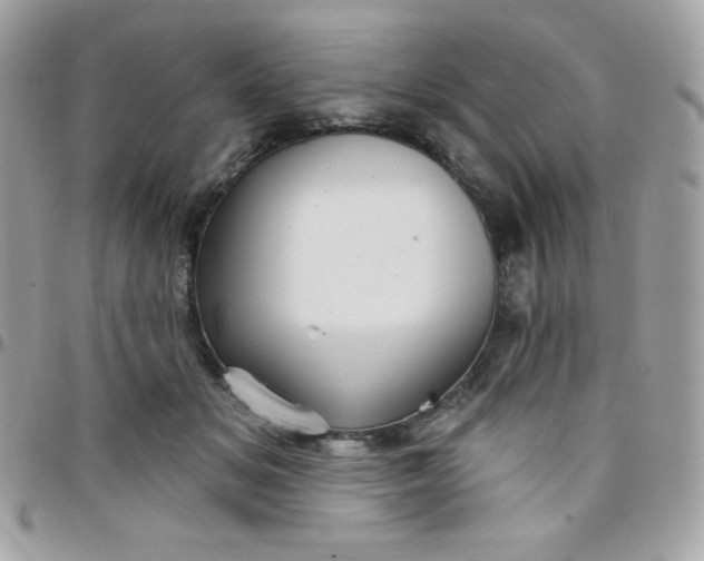 X0000097750509200803211654