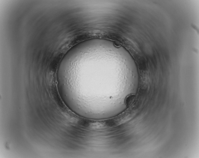 X0000097750511200803211654